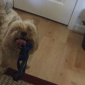 Meet your Posher, Mercedes